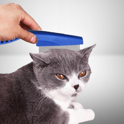 Brosse Chat - CatSheddingHairComb™ - Bleu - Besoin de chat
