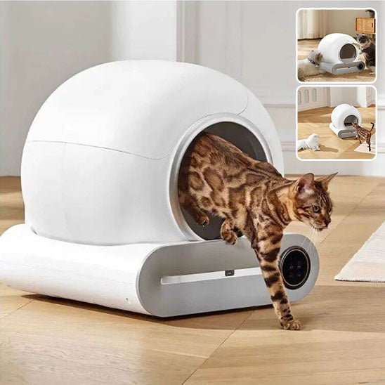 Bac à Litière Chat - IntelliNet™ - Besoin de chat