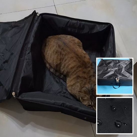 Bac à Litière Chat - PortableVoy™ - Besoin de chat
