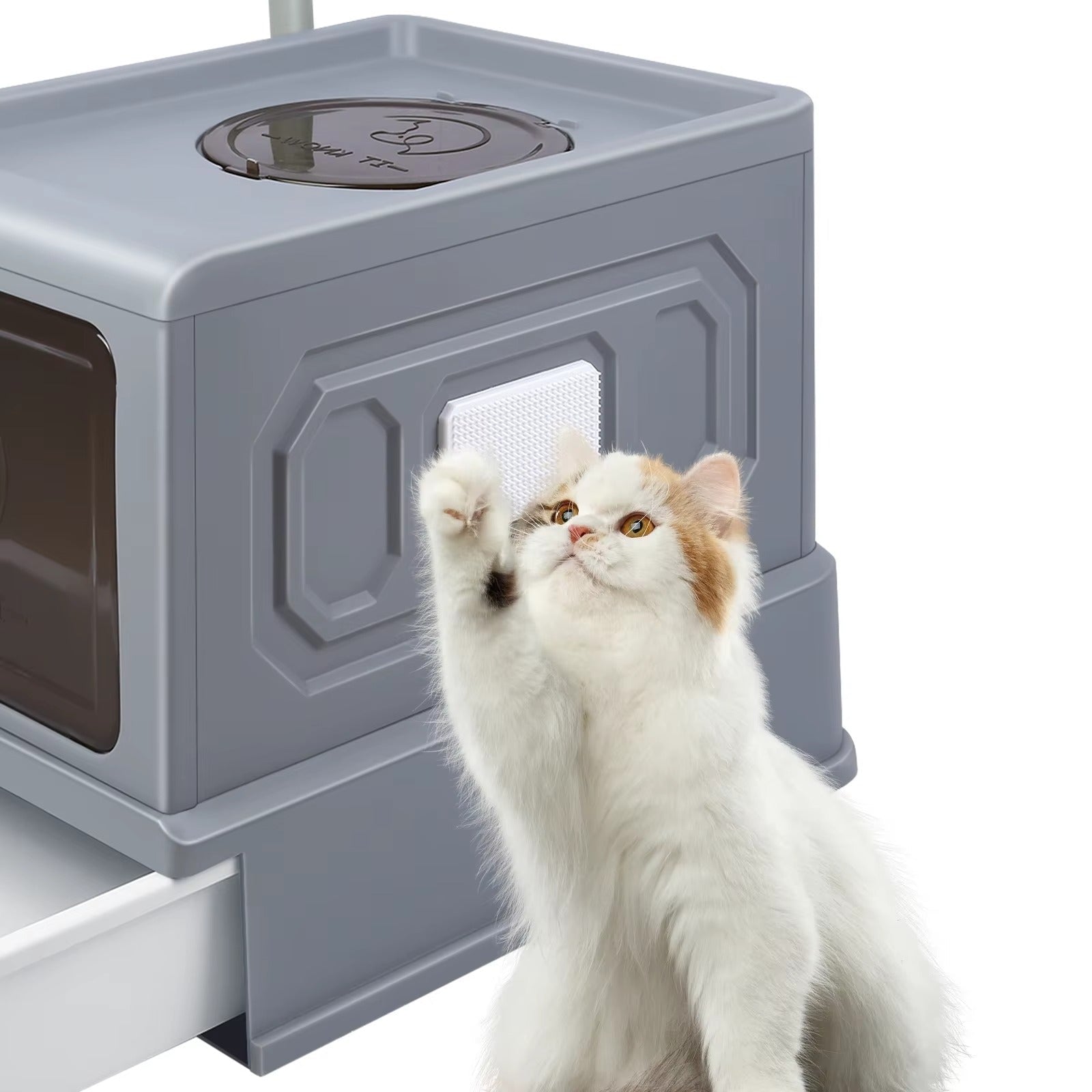 Bac à Litière Chat - PremiumConfort+™ - Besoin de chat