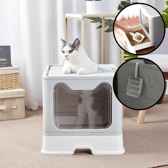 Bac à Litière Chat - PremiumSandBox™ - Besoin de chat