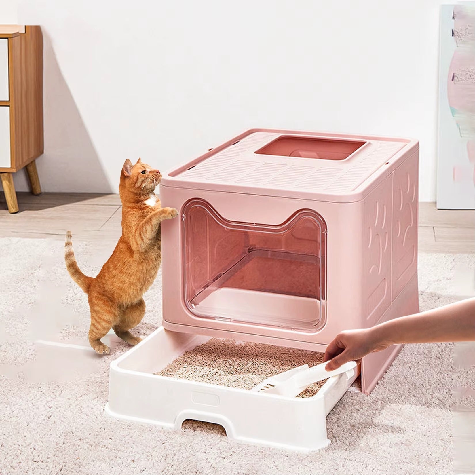Bac à Litière Chat - PremiumSandBox™ - Rose - Besoin de chat