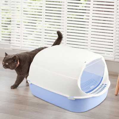 Bac à Litière Chat - SandboxCats™ - Bleu - Besoin de chat