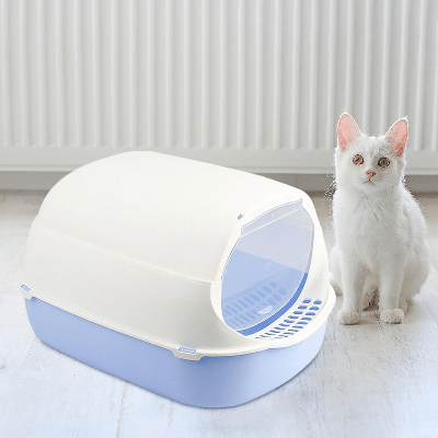 Bac à Litière Chat - SandboxCats™ - Bleu - Besoin de chat
