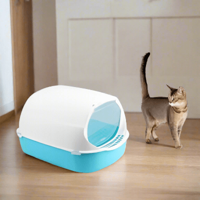 Bac à Litière Chat - SandboxCats™ - Bleu Ciel - Besoin de chat