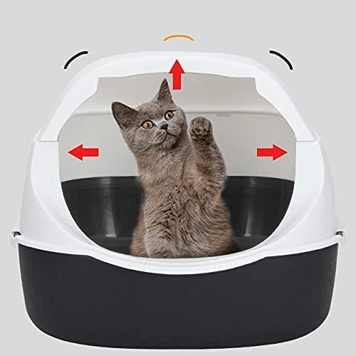 Bac à Litière Chat - SandboxCats™ - Noir - Besoin de chat