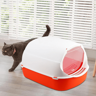 Bac à Litière Chat - SandboxCats™ - Rouge - Besoin de chat
