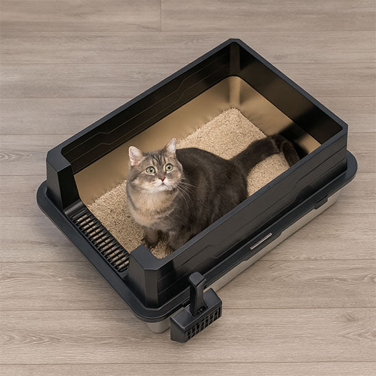 Bac à litière Chat - XXL InoxConcept™ - Besoin de chat