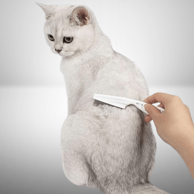 Brosse Chat - CatSheddingHairComb™ - Blanc - Besoin de chat