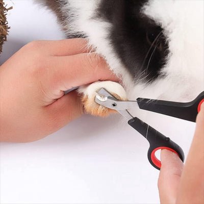 Coupe Griffe Chat - Professionnel Antidérapant™ - Besoin de chat