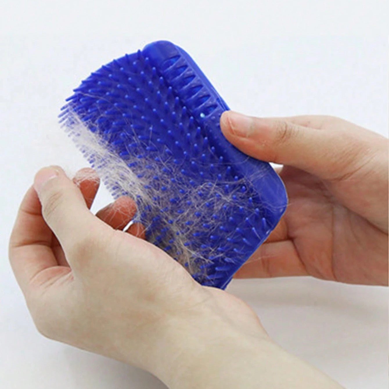 Grattoir Chat - PurrCornerGroomer™ - Bleu - Besoin de chat