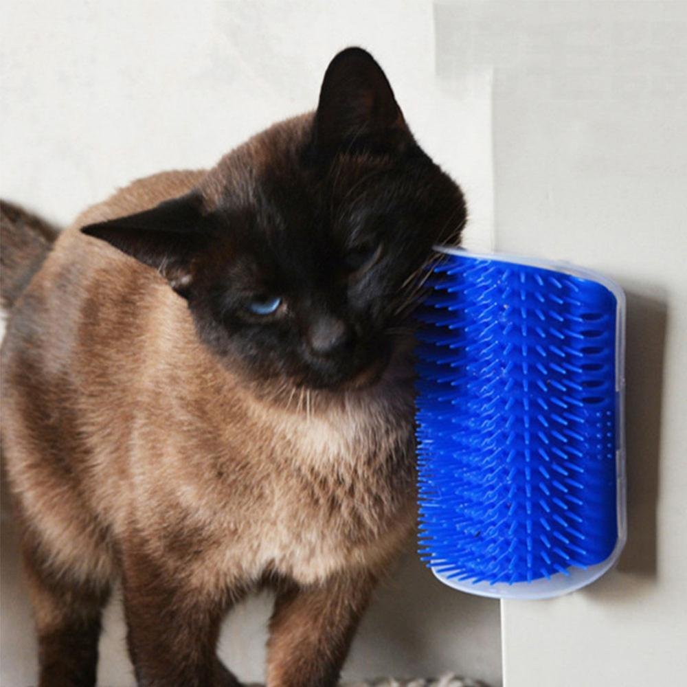 Grattoir Chat - PurrCornerGroomer™ - Bleu - Besoin de chat