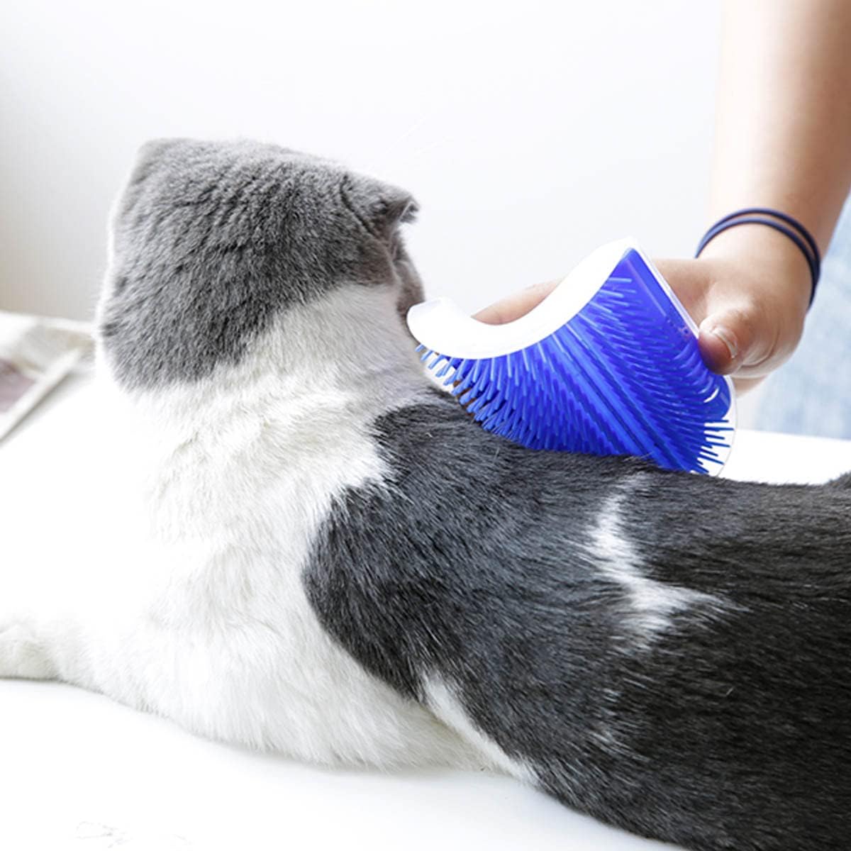 Grattoir Chat - PurrCornerGroomer™ - Bleu - Besoin de chat