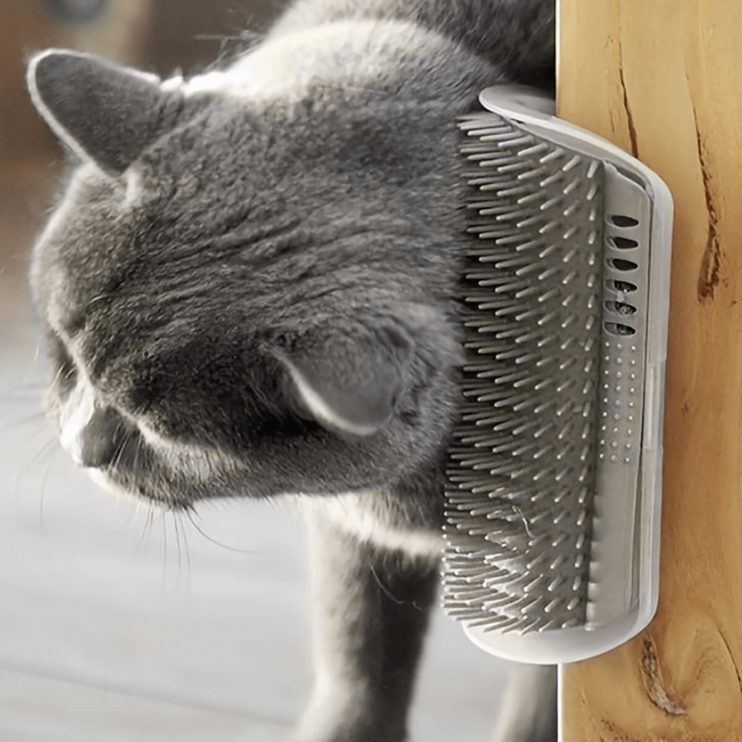 Grattoir Chat - PurrCornerGroomer™ - Gris - Besoin de chat
