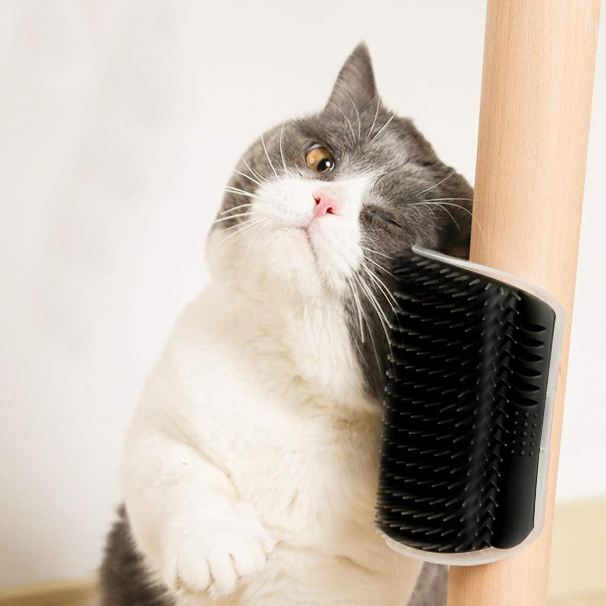 Grattoir Chat - PurrCornerGroomer™ - Noir - Besoin de chat