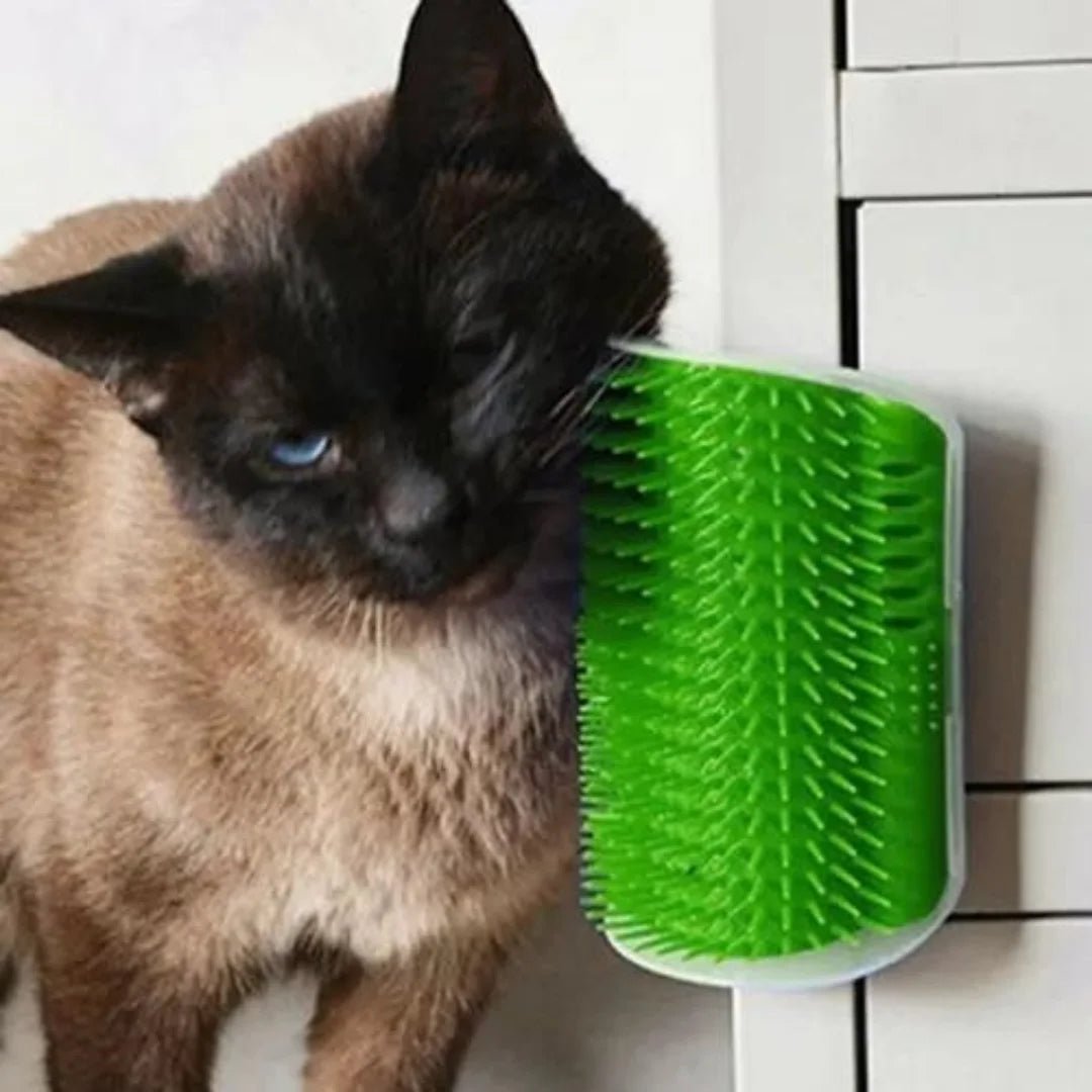 Grattoir Chat - PurrCornerGroomer™ - Vert - Besoin de chat